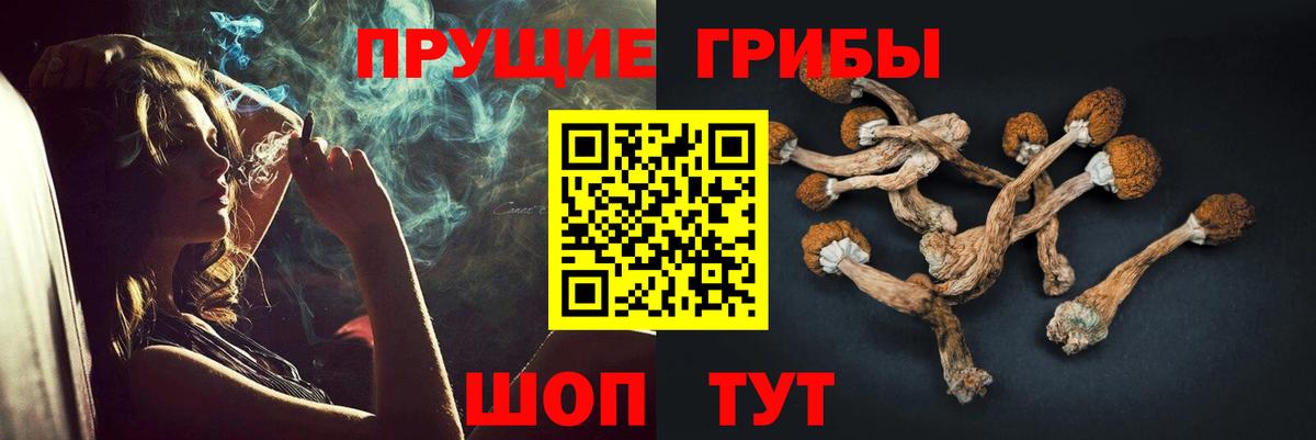 Псилоцибиновые грибы ЛСД Сальск