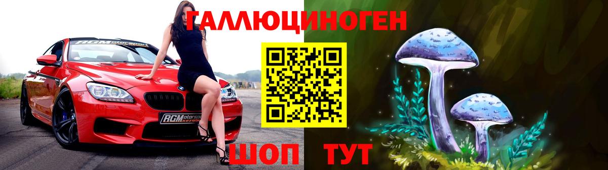 Псилоцибиновые грибы Psilocybe  Вход с VPN  Сальск 